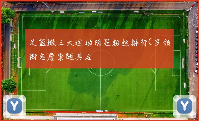 足篮橄三大运动明星粉丝排行C罗领衔老詹紧随其后